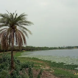 Surajpur Wetland