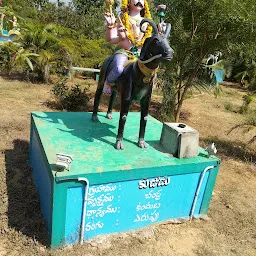 Surya Bagavan Navagraha Garden