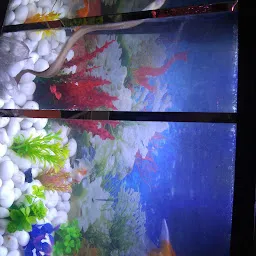 Surya Fish Aquarium