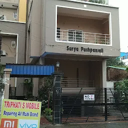 Surya Pushpanjali Apartment LIL office