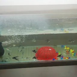 swami Aquarium