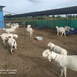 Swapnil Goat Farm