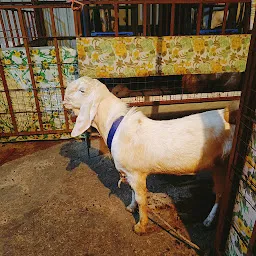 Swapnil Goat Farm