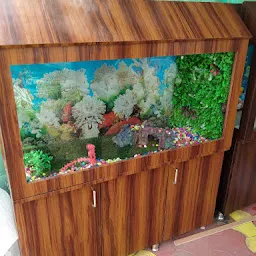 Swasti Fish Aquarium