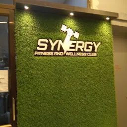 Synergy Fitness & Wellness Club