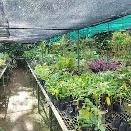 Systematic Garden Of Herbals, JNTBGRI