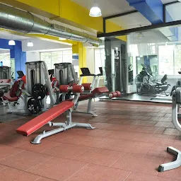 T-Rex Fitness Factory Ghod bunder Road-Thane - Your Gym, Your Fitness