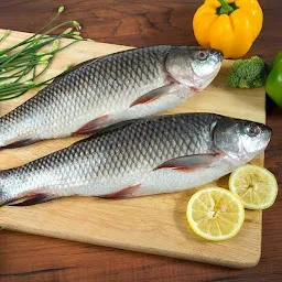 Taal Fresh Fish जिंदा मछली की दुकान