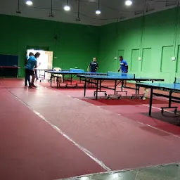 Table Tennis Court