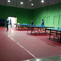 Table Tennis Court