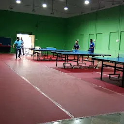 Table Tennis Court