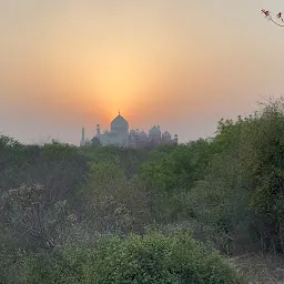 Taj Protected Forest