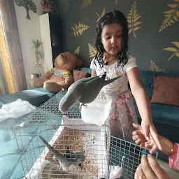 Tales of Joy | pet & bird shop in Kolkata | Picnic Garden