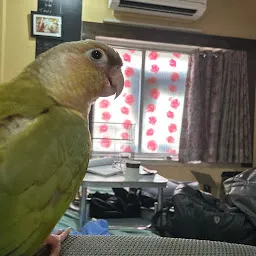 Tales of Joy | pet & bird shop in Kolkata | Picnic Garden