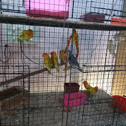 Tales of Joy | pet & bird shop in Kolkata | Picnic Garden