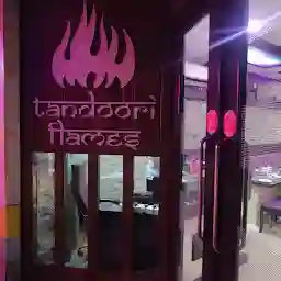 Tandoori Flames Restaurant - Best Non Veg Restaurant in Vadodara