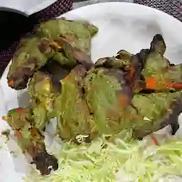 Tandoori Flames Restaurant - Best Non Veg Restaurant in Vadodara