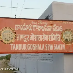 Tandur Goushala Seva Samithi