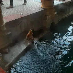 Tapta kund badrinath