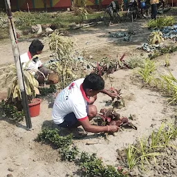 Taraaang Landscape Nursery - Best Landscaping & Gardening Services in Kolkata