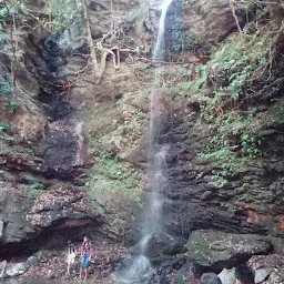 Taradevi Waterfall Zone