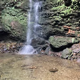 Taradevi Waterfall Zone