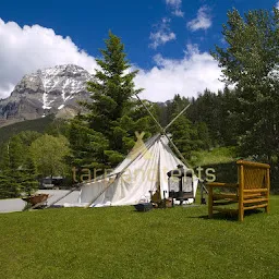 Tarp and Tents, A Brand of A.V.M. International