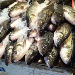 Tarun market non-veg fish market