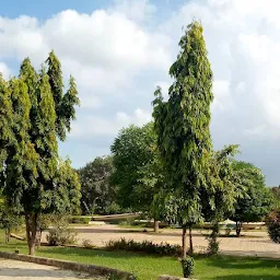 Tau Devi Lal Town Park