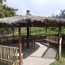 Tea Garden