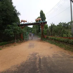 Teachers Colony Watertank Park