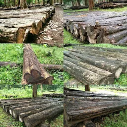 teekay timbers