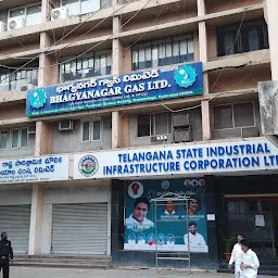 TELANGANA STATE COMMISSION FOR SCs STs (Telangana SC ST Commission)