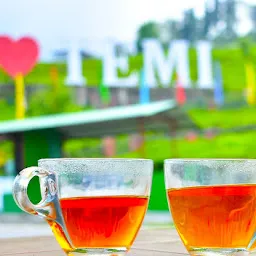 Temi Tea Gardens
