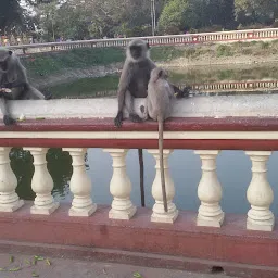 Temple Pond