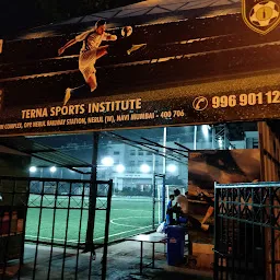 Terna Sports Institute