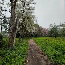 Tezu Botanical Garden - Tezu, Arunachal Pradesh, India