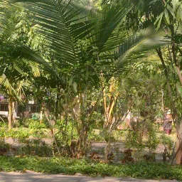 Thakur Park