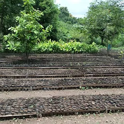 Thakuranipara Public Field