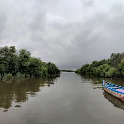 Thane Creek Flamingo Sanctuary