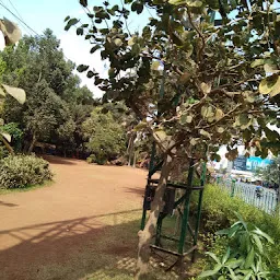 Thane Municipal Garden