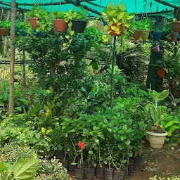 Thangaraj Nursery Garden