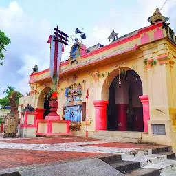 Divya Desam 20.3 : Thanjai Vennatrankarai Narasimha Perumal Temple Divyadesam
