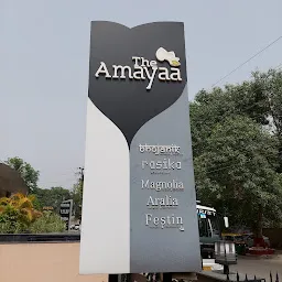 The Amayaa