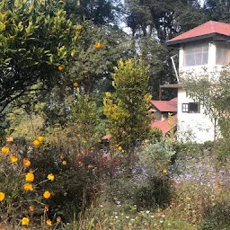 The Canopy House - Kalimpong