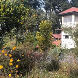 The Canopy House - Kalimpong