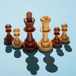 The Chess School Hisar
