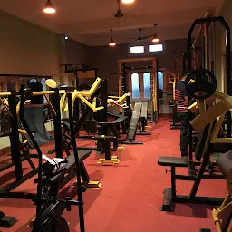 the dazzle's gym