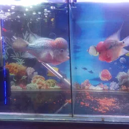 The Fish World Aquarium pet shop