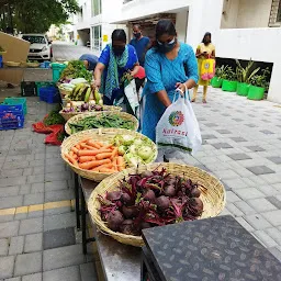 The Fresh Basket